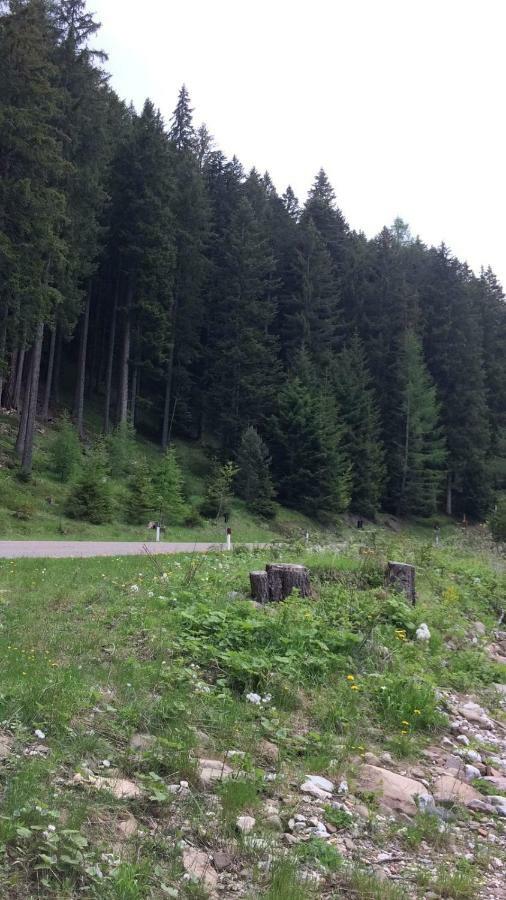 Apartament Casa A Pie Di Pista Tesero Zewnętrze zdjęcie